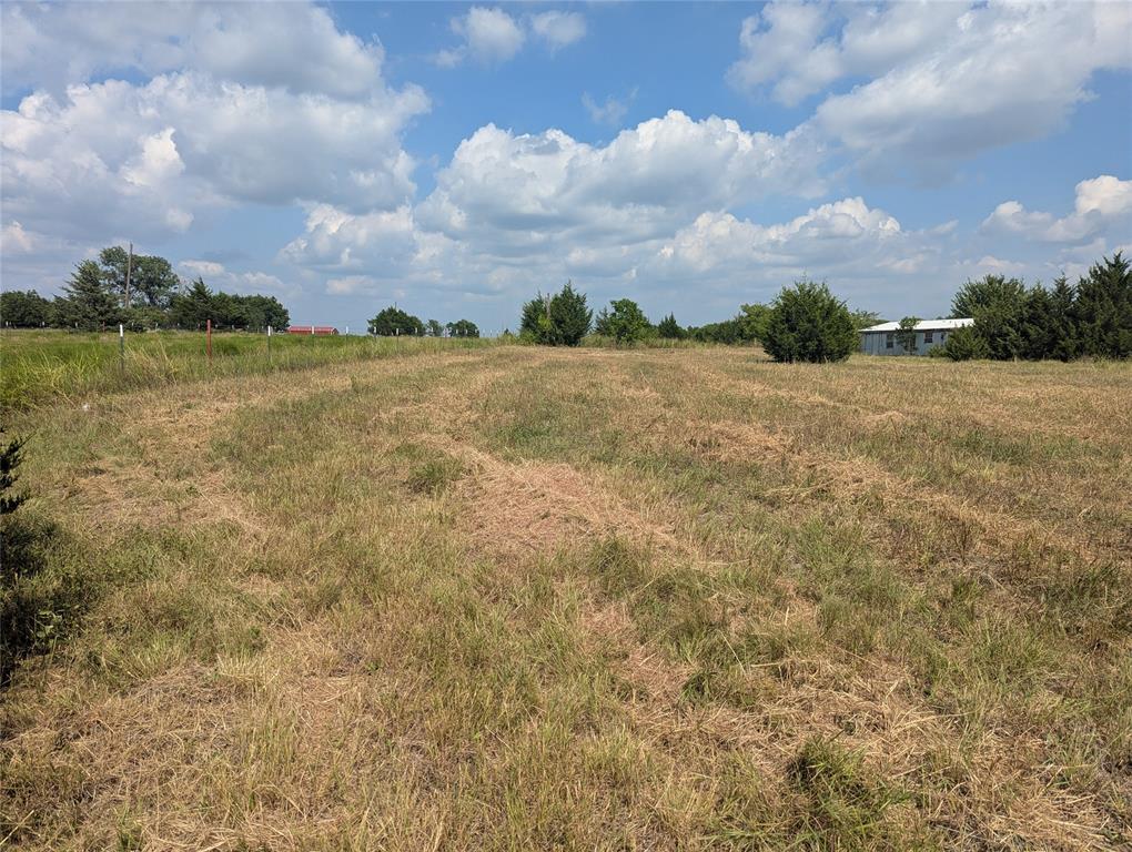 11008 County Road 670 Blue Ridge, TX 75424 - Photo 9 of 17 Freshly mowed. The home in photo is not included.