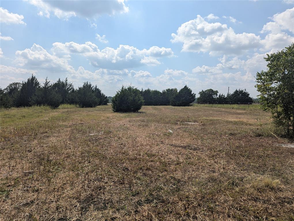 11008 County Road 670 Blue Ridge, TX 75424 - Photo 10 of 17 View from the back of the property facing towards CR 670.