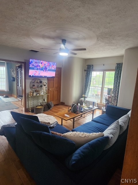 441 Neal Road Lincklaen, NY 13124 - Photo 11 of 44 living room after new flooring
