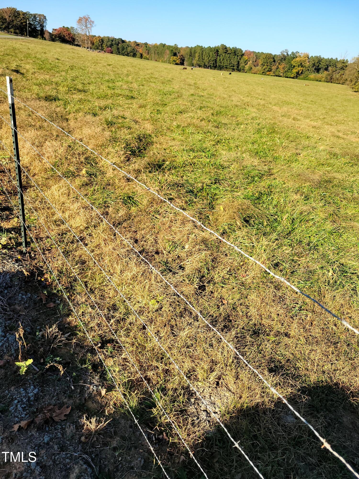 0 Coleridge Road Siler City, NC 27344 - Photo 12 of 25 20241024_164052_01