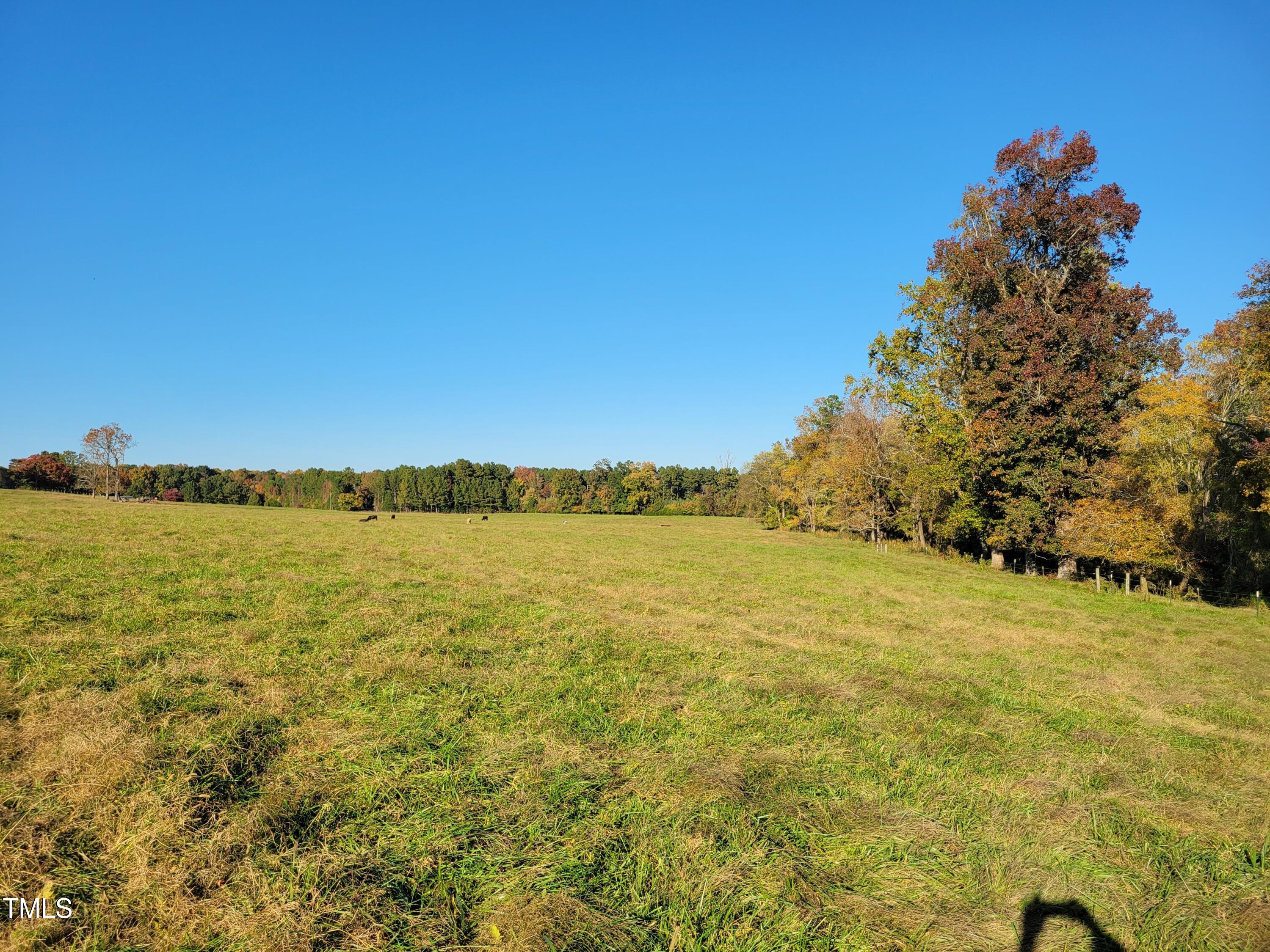 0 Coleridge Road Siler City, NC 27344 - Photo 14 of 25 20241024_164110