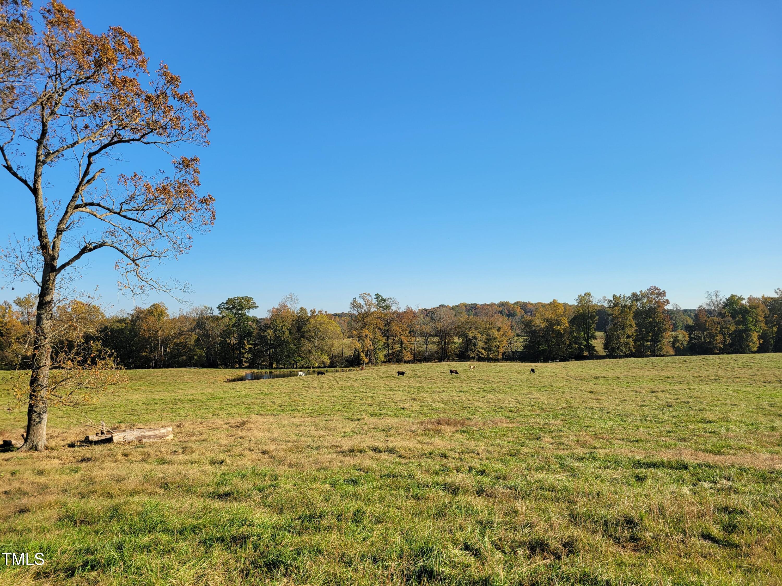 0 Coleridge Road Siler City, NC 27344 - Photo 8 of 25 20241024_163921