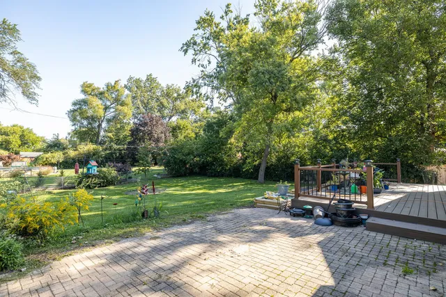 a view of a park with large trees