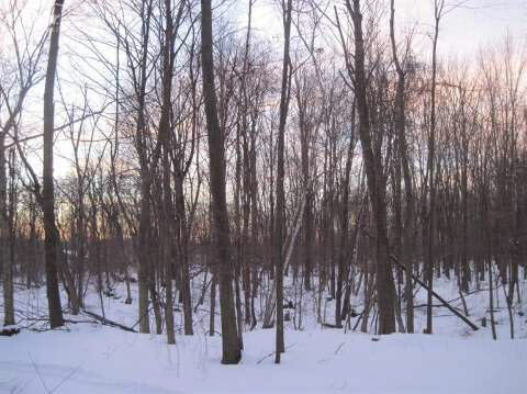 14312 Harris Road Millington, MI 48746 - Photo 4 of 8 20394173-3.JPG