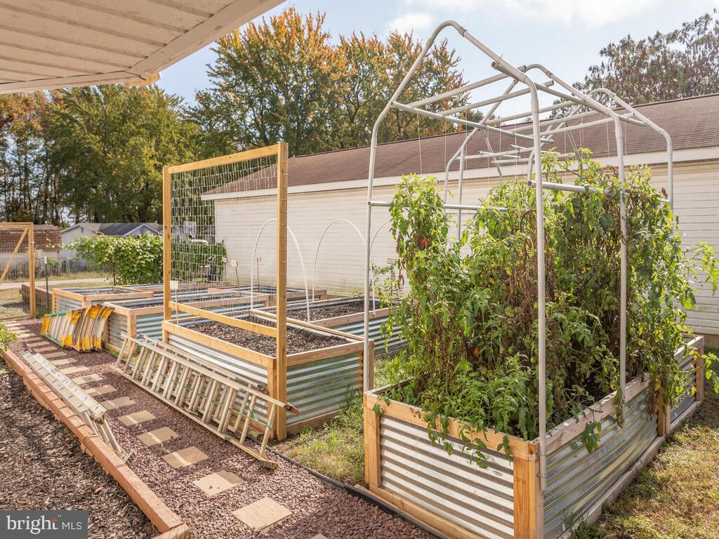 3208 Burgess Road Chesapeake Beach, MD 20732 - Photo 46 of 64 Garden area with raised beds
