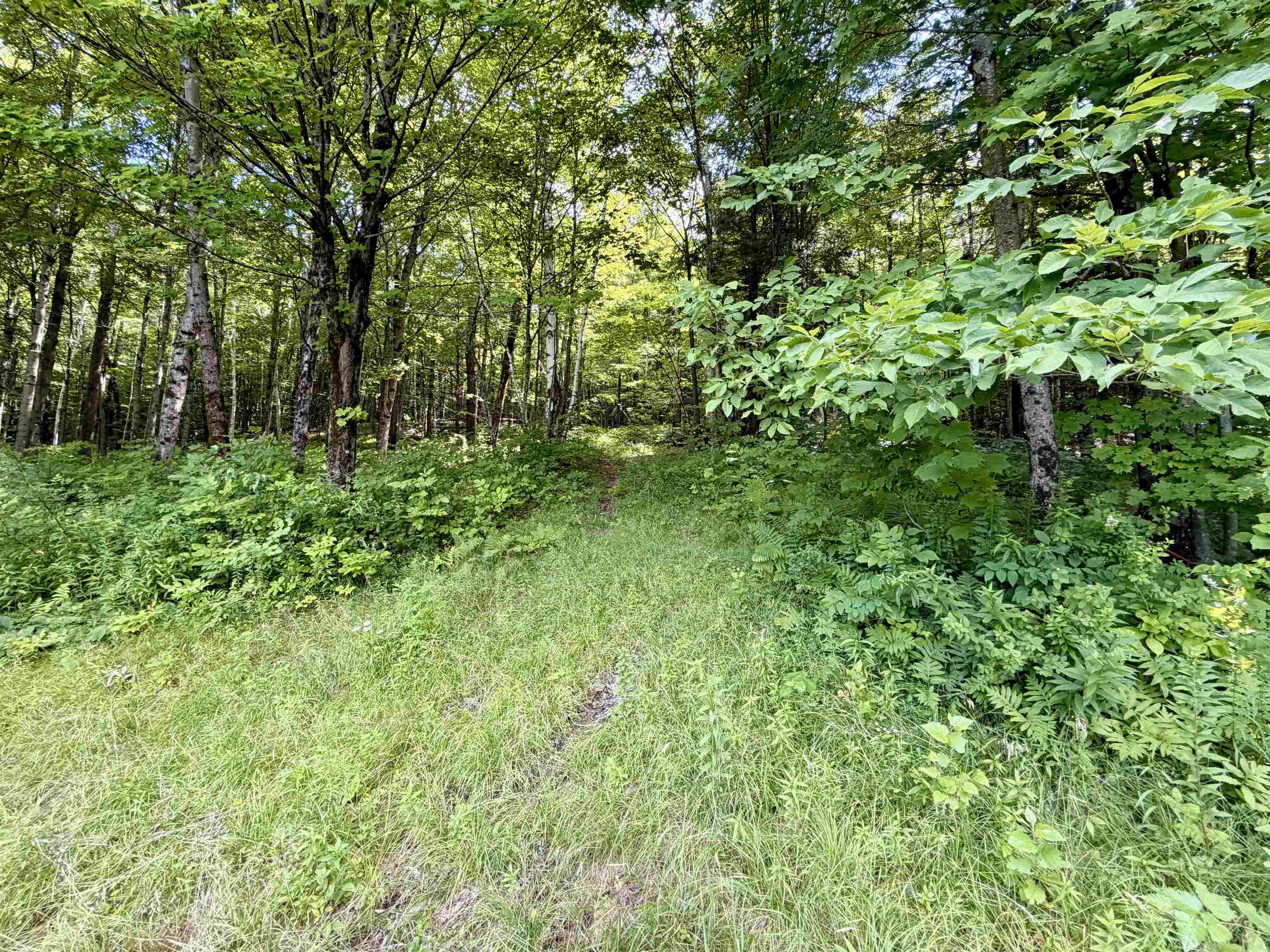 3625 Ripton Road Lincoln, VT 05443 - Photo 13 of 48 Gallery Image 13