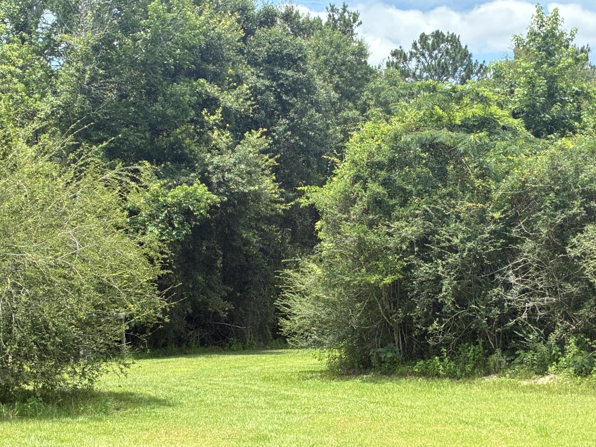 281 South Suttles Road DeFuniak Springs, FL 32433 - Photo 10 of 15 Unit 2 meadow