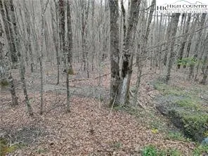 $99,900 | 309 Pine Ridge Road, Beech Mountain, NC 28604
