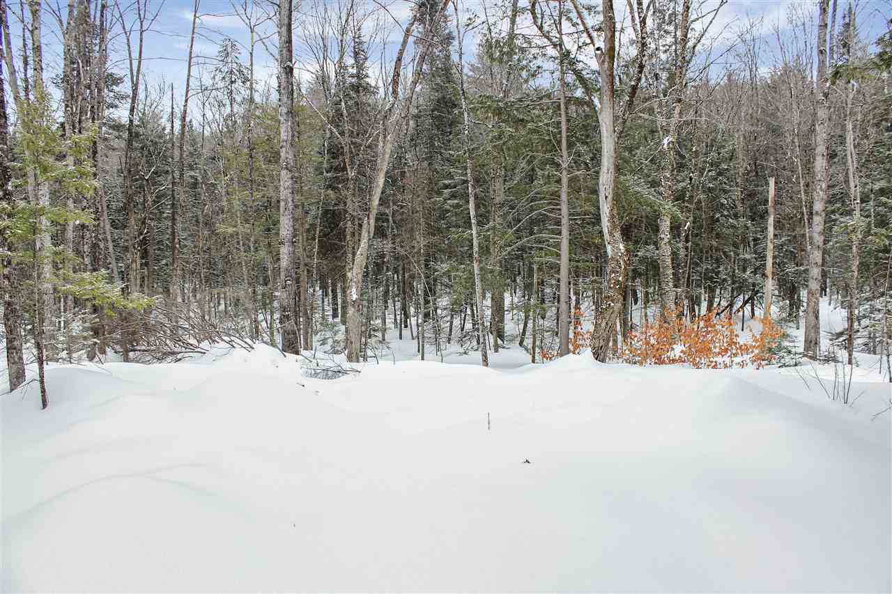0 Adams Road Plymouth, NH 03264 - Photo 3 of 8 Gallery Image 3
