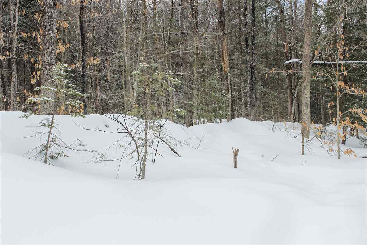 0 Adams Road Plymouth, NH 03264 - Photo 5 of 8 Gallery Image 5