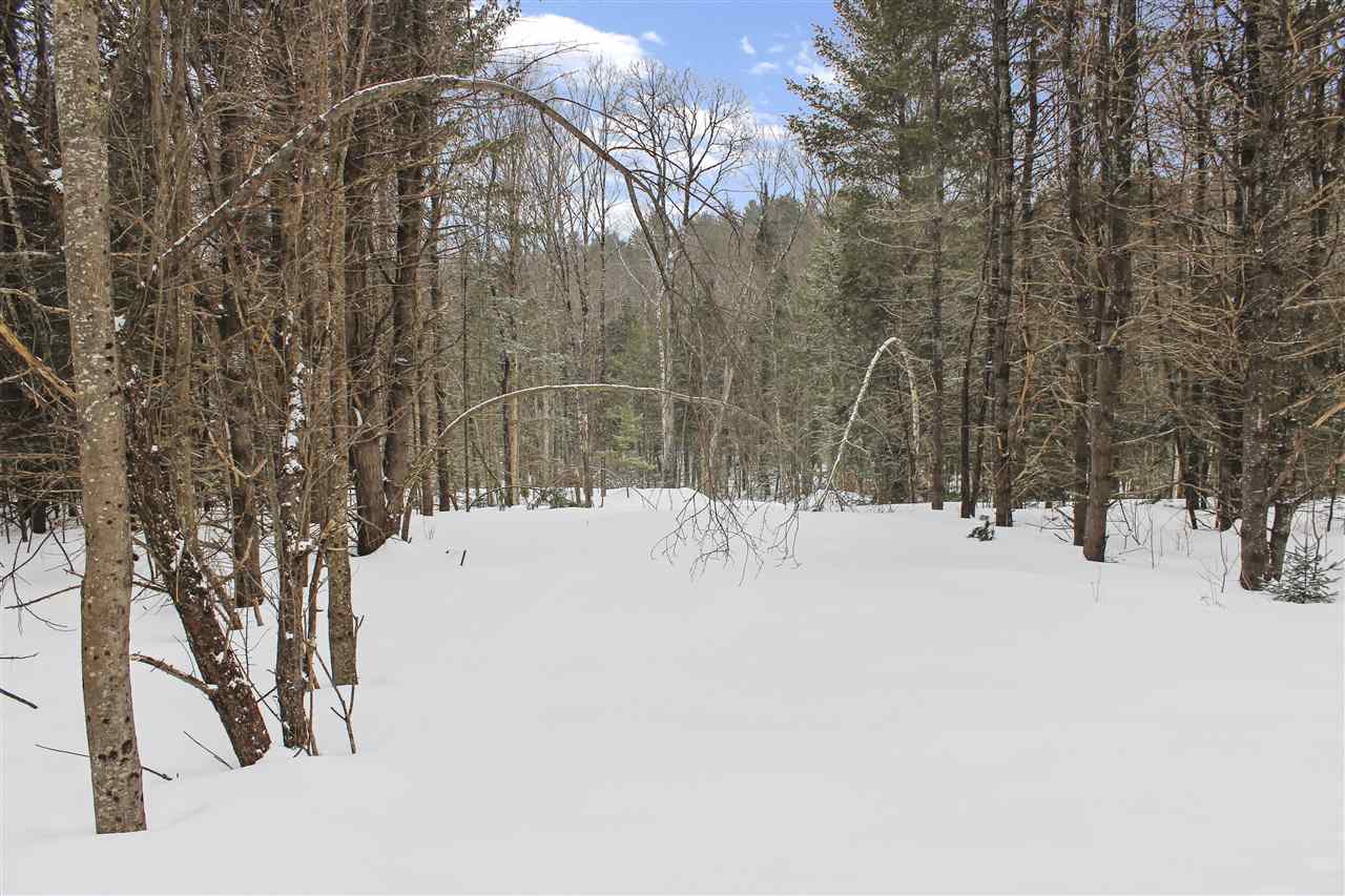 0 Adams Road Plymouth, NH 03264 - Photo 7 of 8 Gallery Image 7