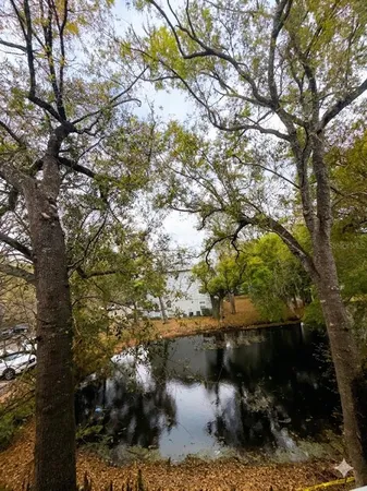 a view of lake from next to a building