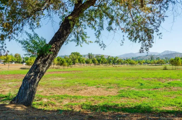 a view of a lake with a big yard