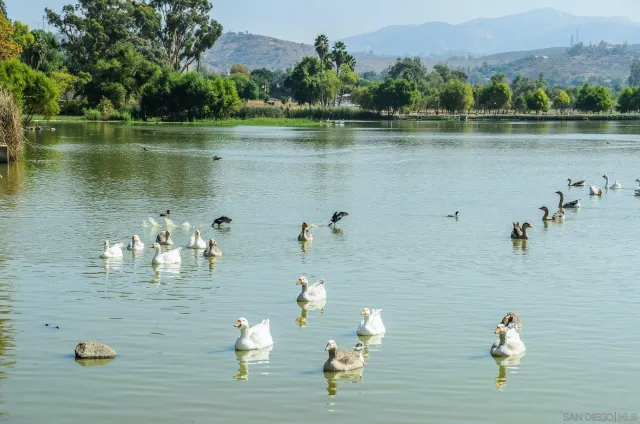 a view of a lake view