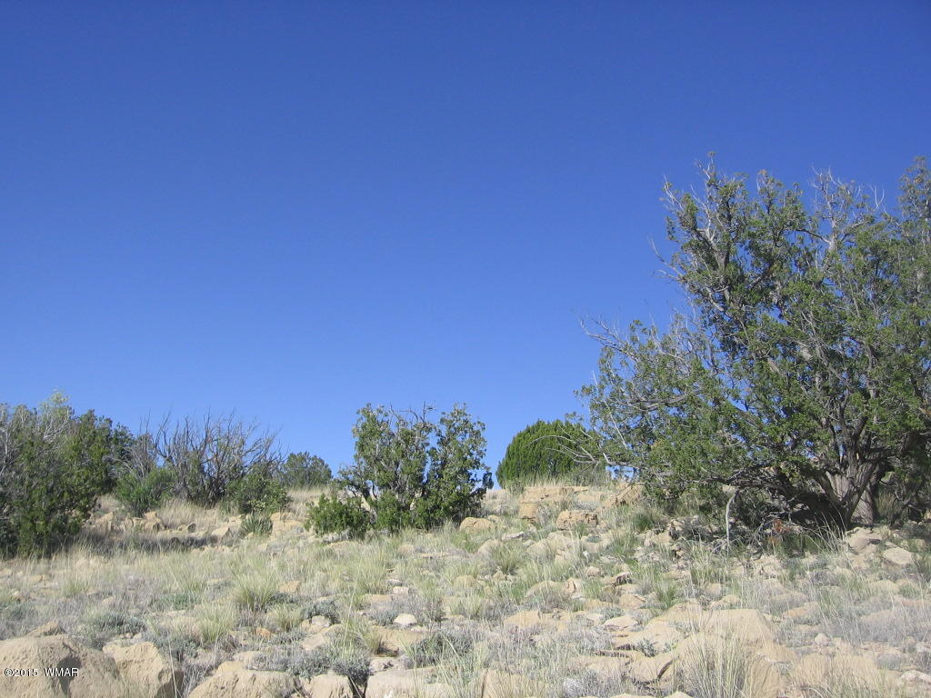 Lot 469 Chevelon Canyon Overgaard, AZ 85933 - Photo 11 of 16