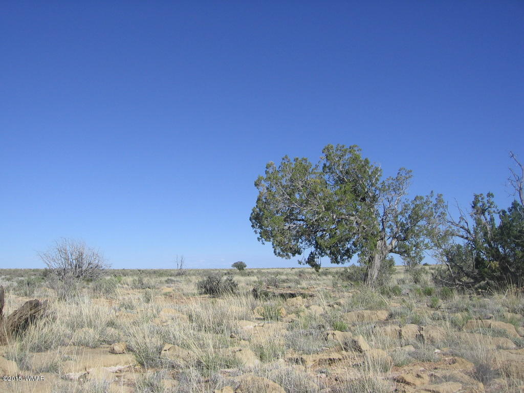 Lot 469 Chevelon Canyon Overgaard, AZ 85933 - Photo 13 of 16