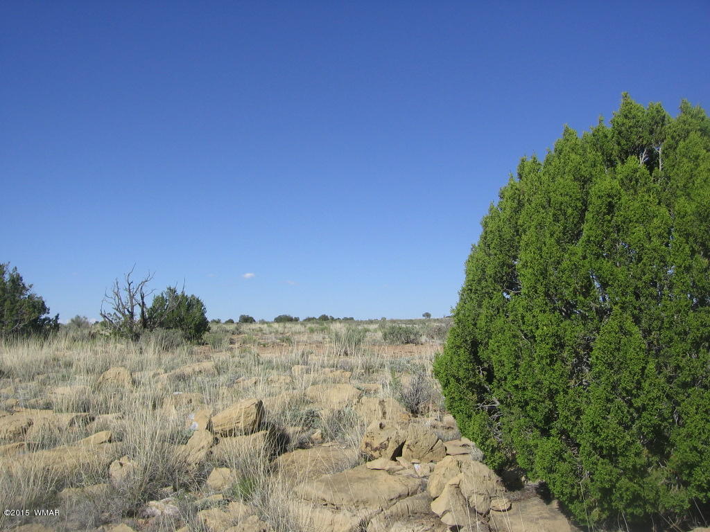 Lot 469 Chevelon Canyon Overgaard, AZ 85933 - Photo 14 of 16
