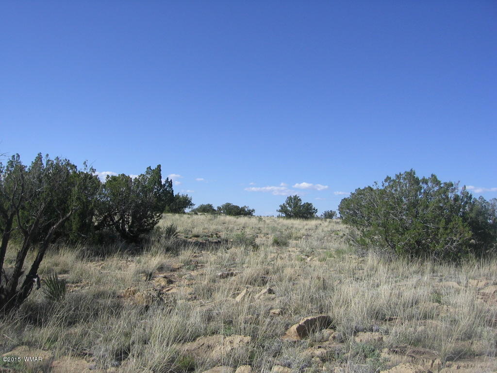 Lot 469 Chevelon Canyon Overgaard, AZ 85933 - Photo 15 of 16