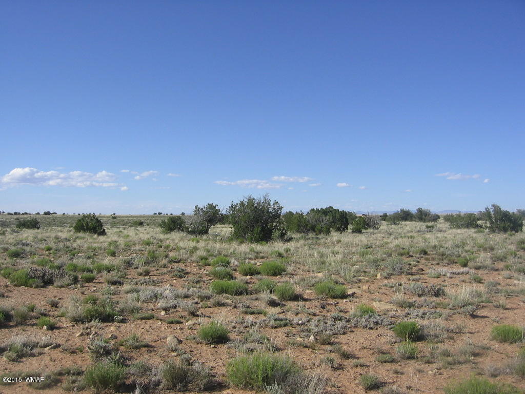 Lot 469 Chevelon Canyon Overgaard, AZ 85933 - Photo 16 of 16