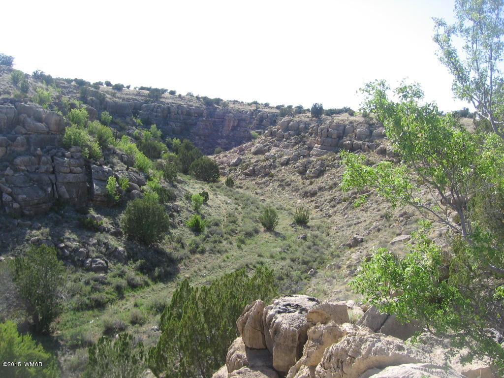 Lot 469 Chevelon Canyon Overgaard, AZ 85933 - Photo 2 of 16