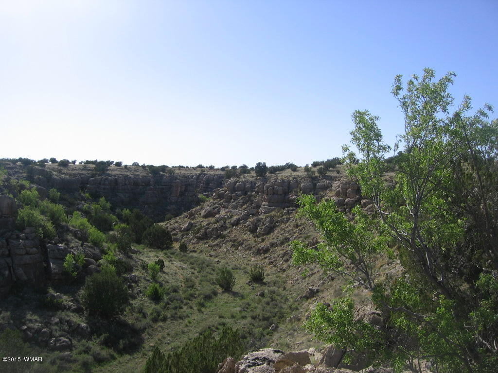 Lot 469 Chevelon Canyon Overgaard, AZ 85933 - Photo 3 of 16