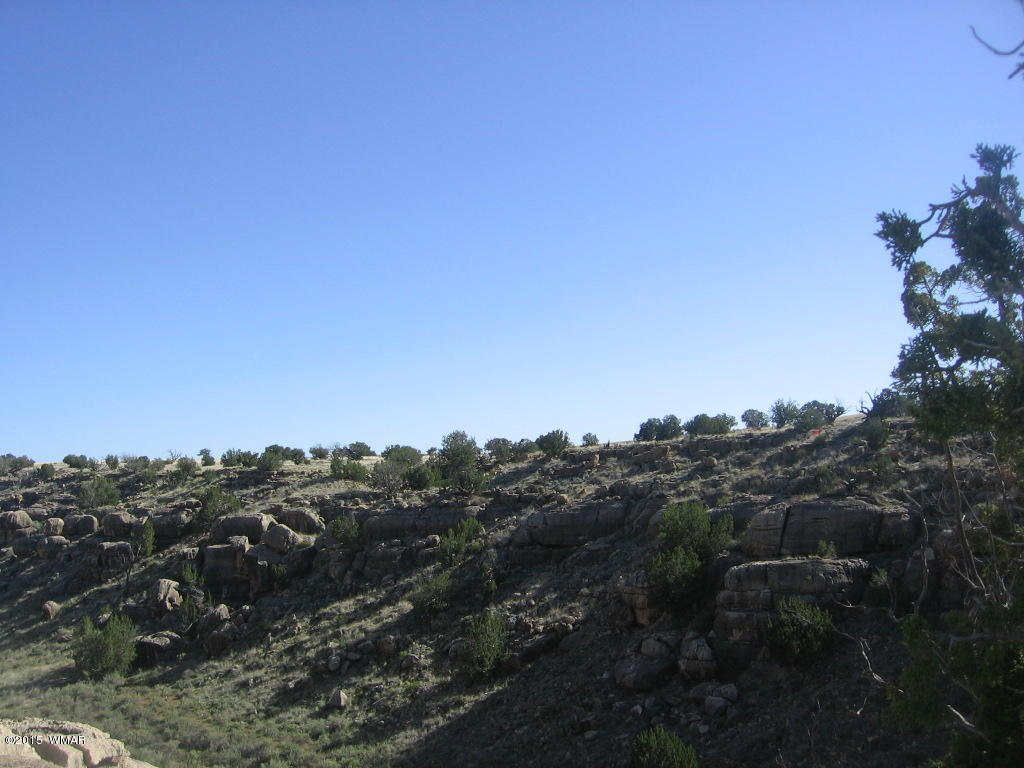 Lot 469 Chevelon Canyon Overgaard, AZ 85933 - Photo 4 of 16