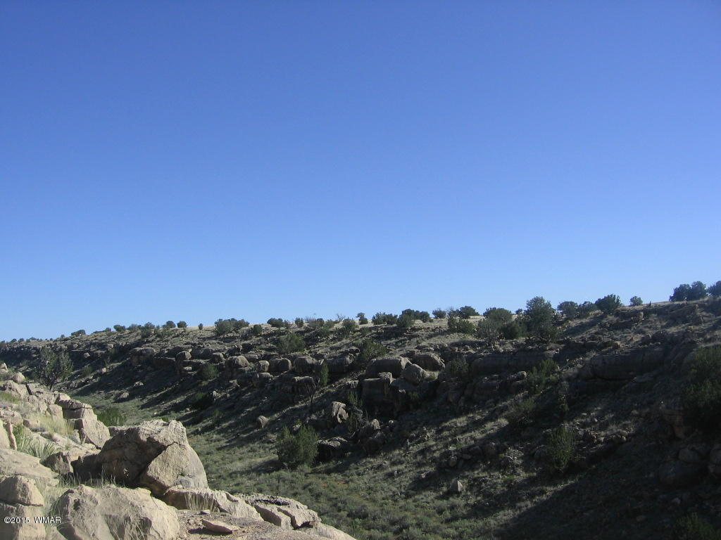 Lot 469 Chevelon Canyon Overgaard, AZ 85933 - Photo 5 of 16