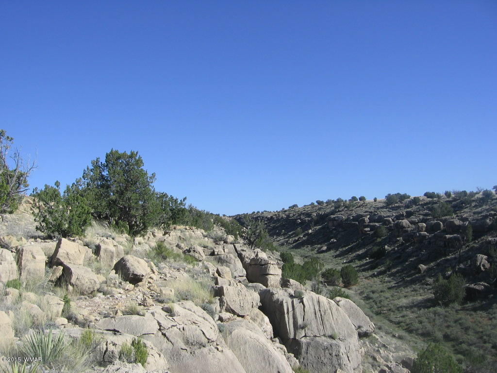 Lot 469 Chevelon Canyon Overgaard, AZ 85933 - Photo 6 of 16