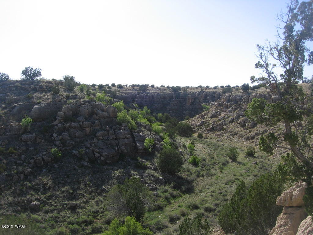 Lot 469 Chevelon Canyon Overgaard, AZ 85933 - Photo 7 of 16