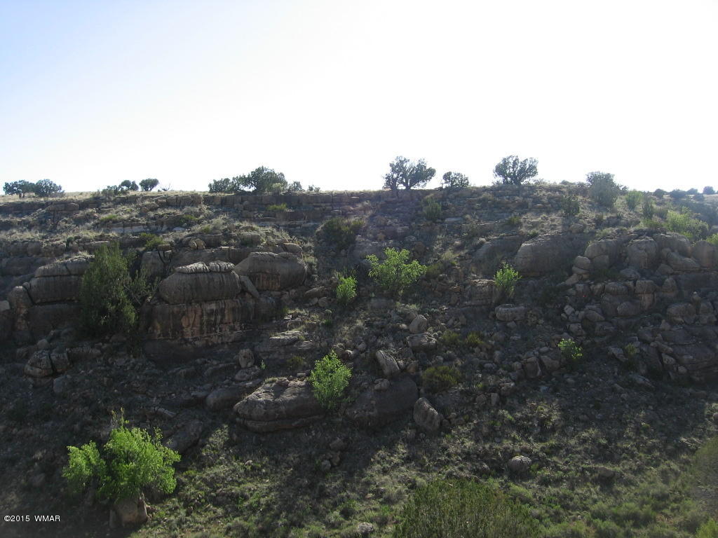 Lot 469 Chevelon Canyon Overgaard, AZ 85933 - Photo 8 of 16