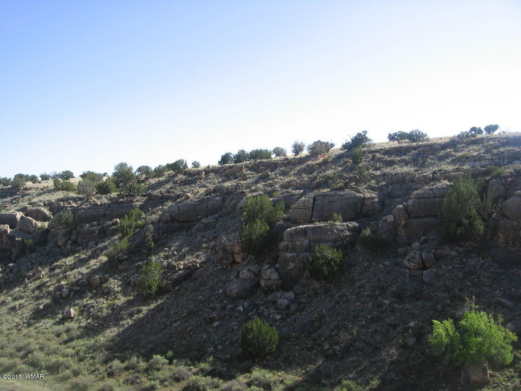 Lot 469 Chevelon Canyon Overgaard, AZ 85933 - Photo 9 of 16