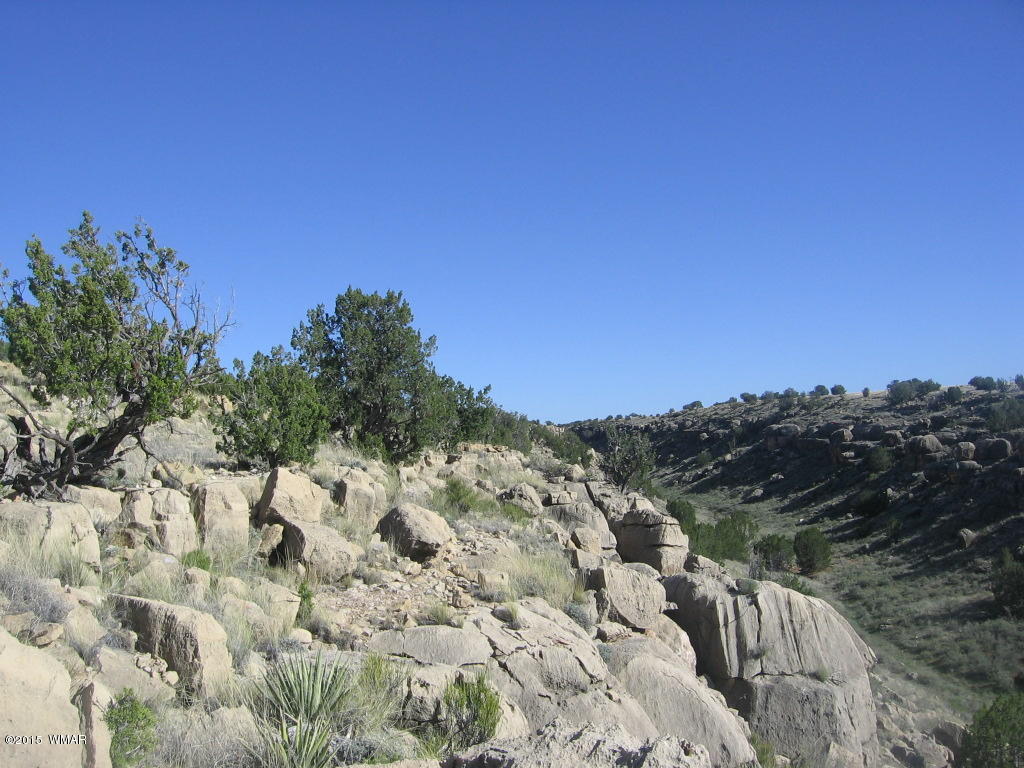 Lot 469 Chevelon Canyon Overgaard, AZ 85933 - Photo 10 of 16