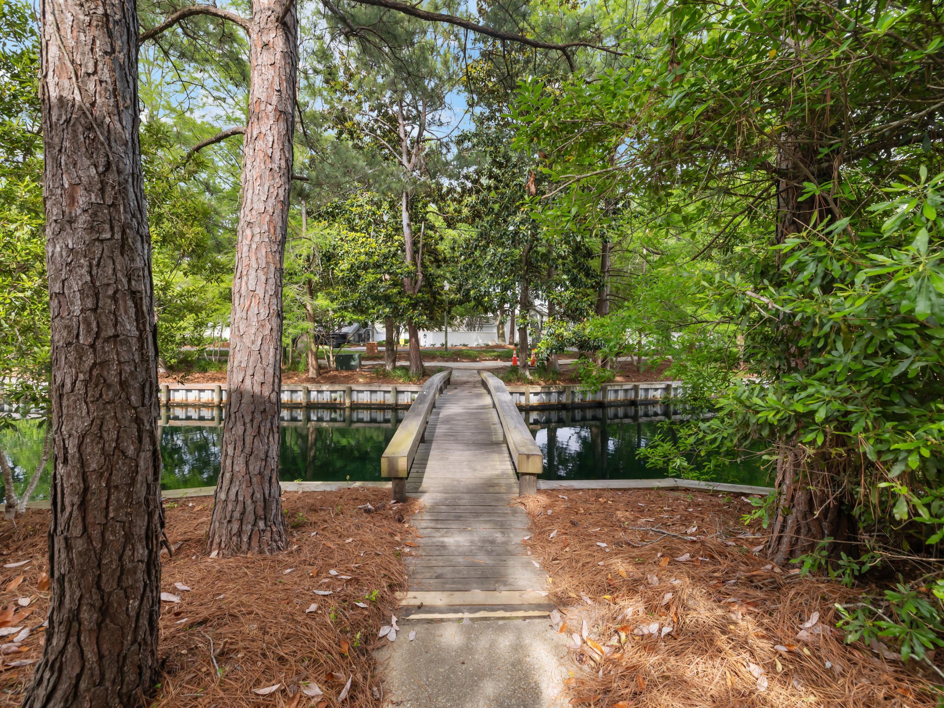 8855 Baypine Drive Miramar Beach, FL 32550 - Photo 43 of 49 a view of a park with large trees