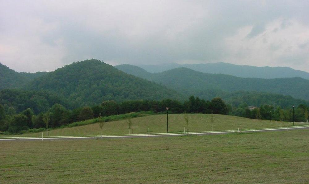 Flintlock Court Townsend, TN 37882 - Photo 2 of 6 full (2)