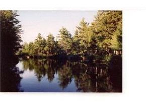 1134 Faxon Hill Road Washington, NH 03280 - Photo 3 of 5