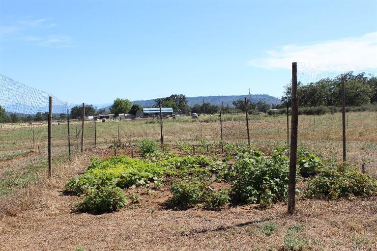 4671 Winnetka Road White City, OR 97503 - Photo 31 of 35 Additional Photo