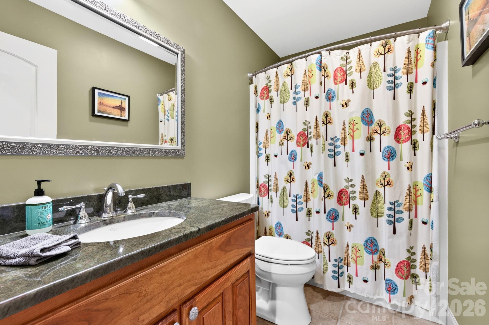25 Whitaker View Road Fairview, NC 28730 - Photo 29 of 40