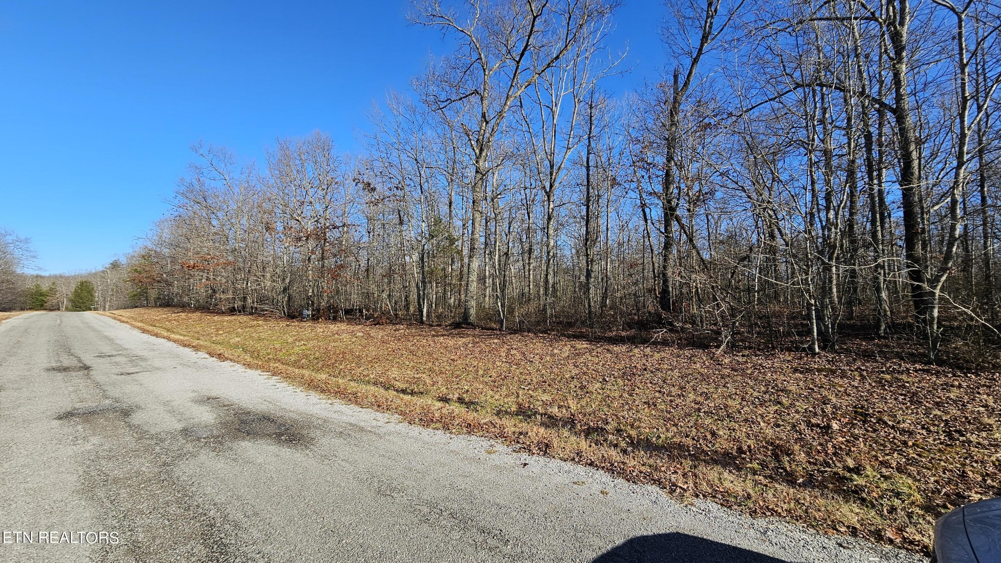 12 Halfway Road Monterey, TN 38574 - Photo 11 of 18 Gallery Image 11