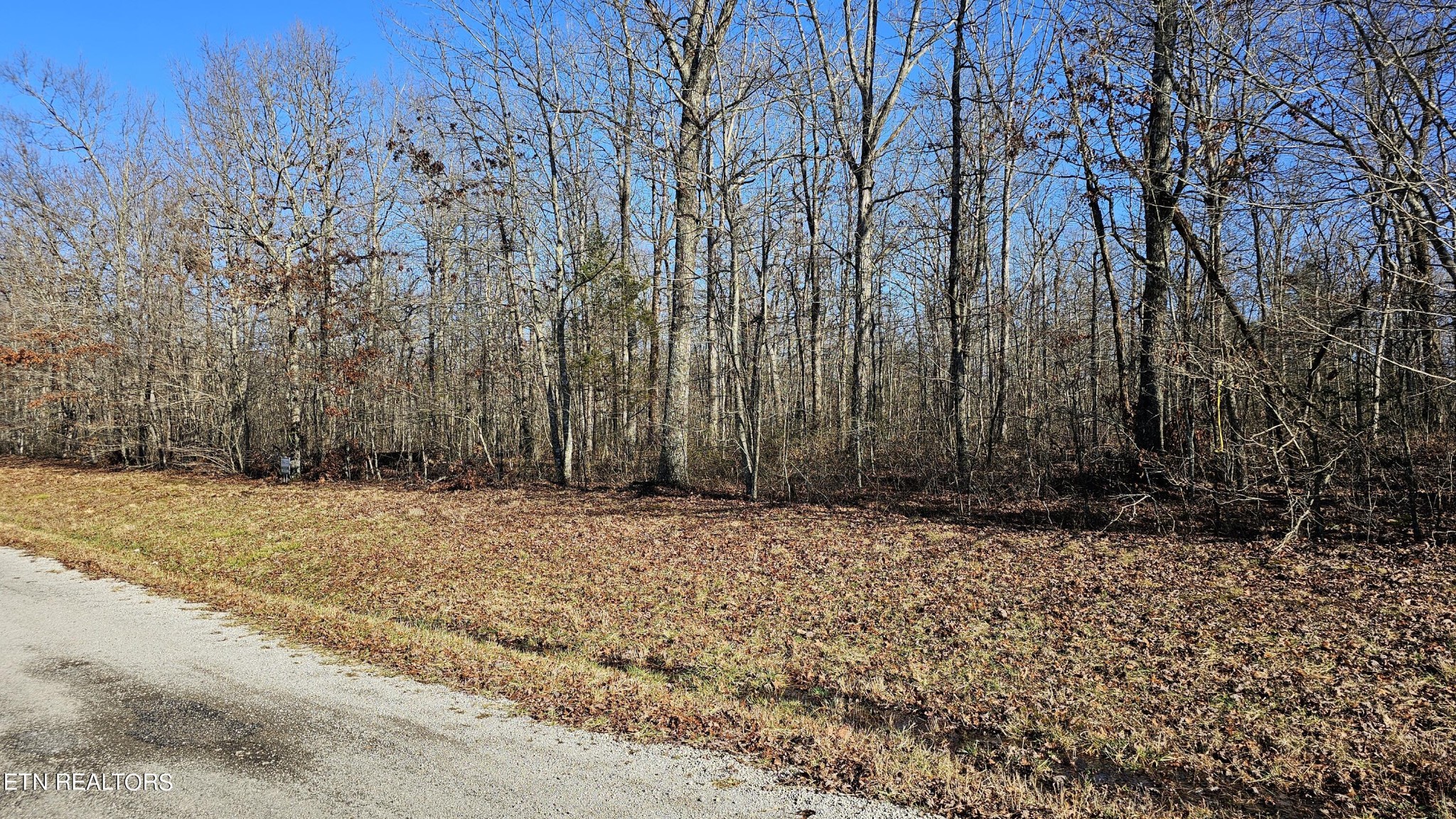 12 Halfway Road Monterey, TN 38574 - Photo 12 of 18 Gallery Image 12