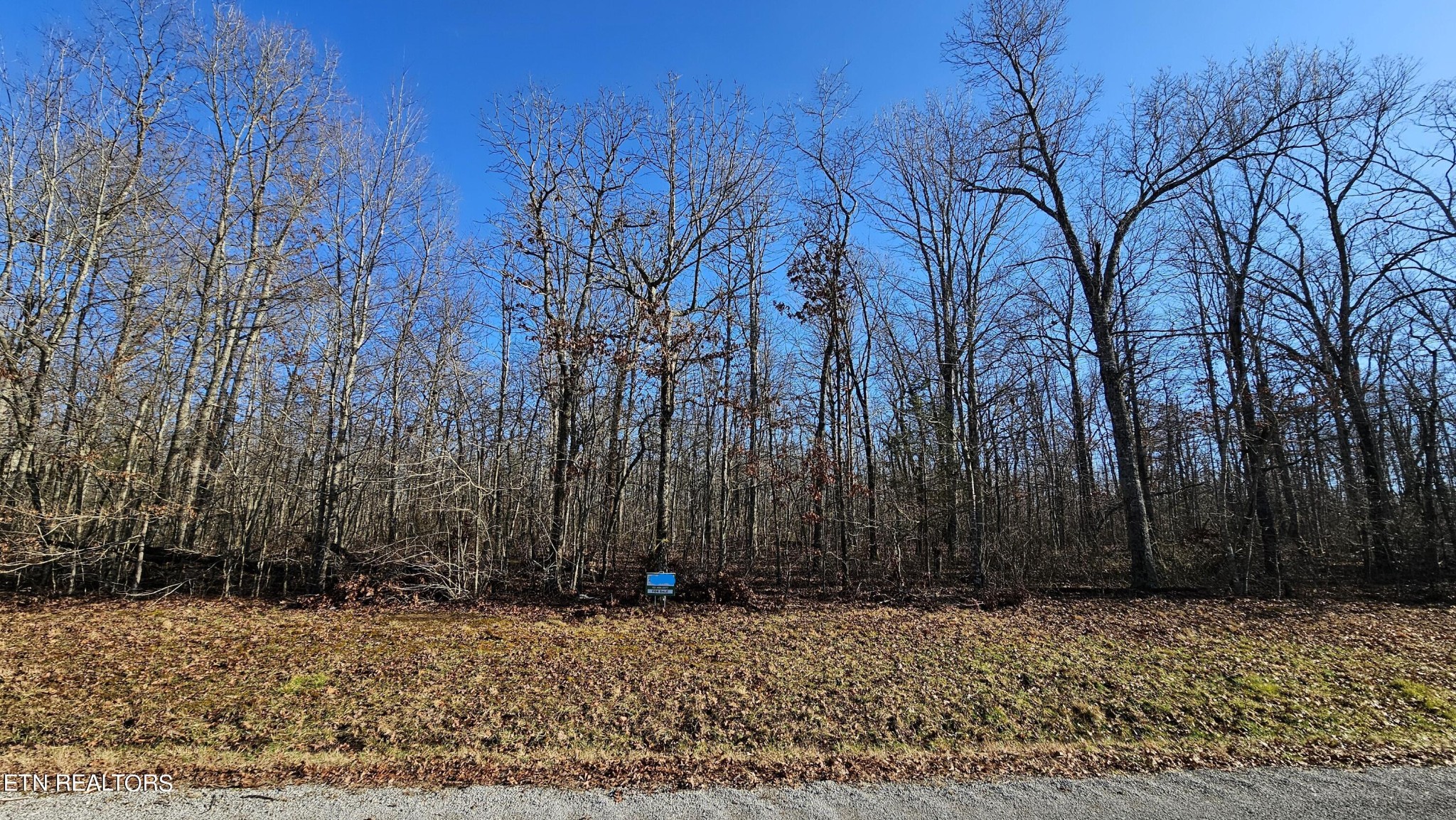 12 Halfway Road Monterey, TN 38574 - Photo 16 of 18 Gallery Image 16