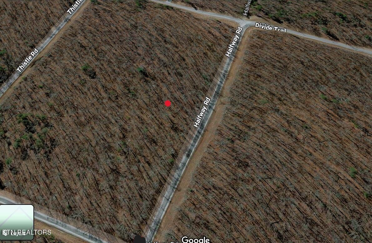 12 Halfway Road Monterey, TN 38574 - Photo 5 of 18 Gallery Image 5