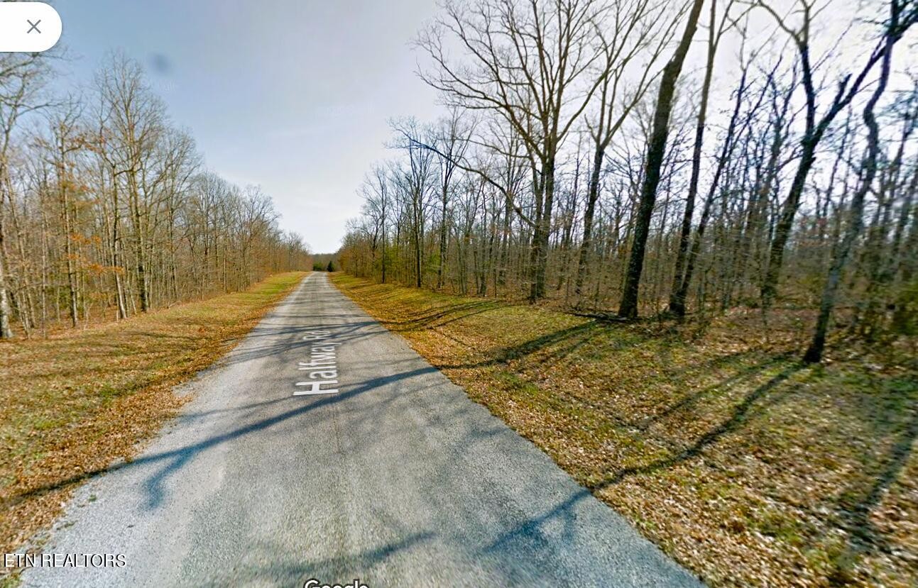 12 Halfway Road Monterey, TN 38574 - Photo 6 of 18 Gallery Image 6