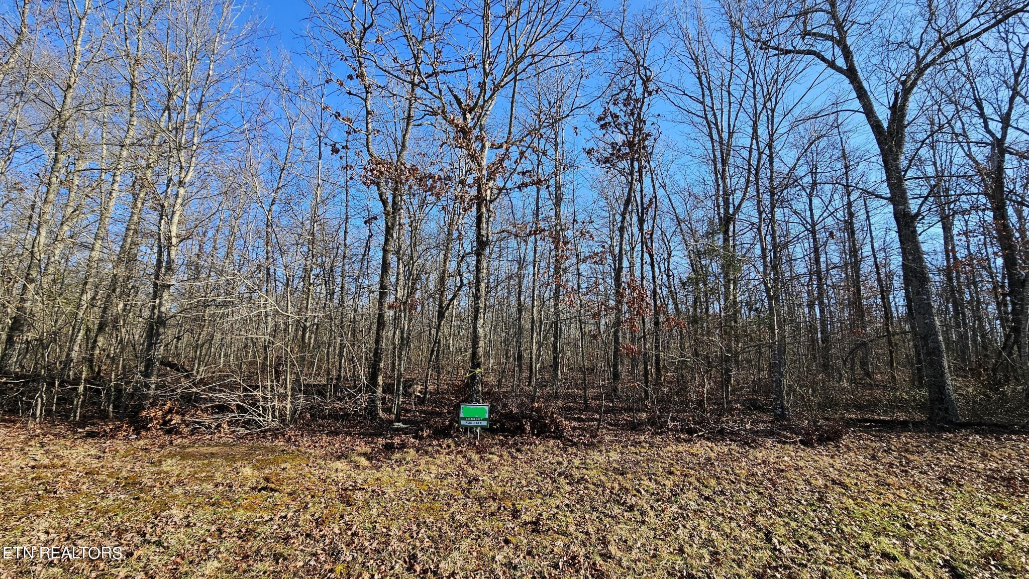 12 Halfway Road Monterey, TN 38574 - Photo 10 of 18 Gallery Image 10