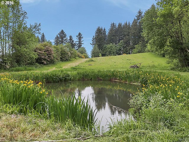 32855 Southeast Compton Road Boring, OR 97009 - Photo 29 of 31 Pond