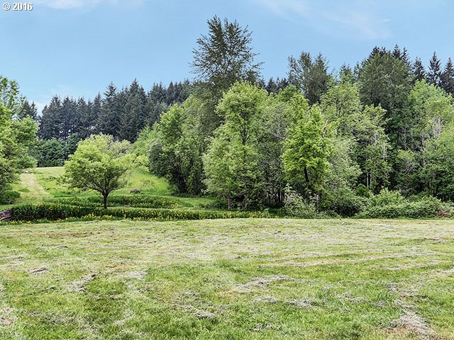 32855 Southeast Compton Road Boring, OR 97009 - Photo 30 of 31 Backyard