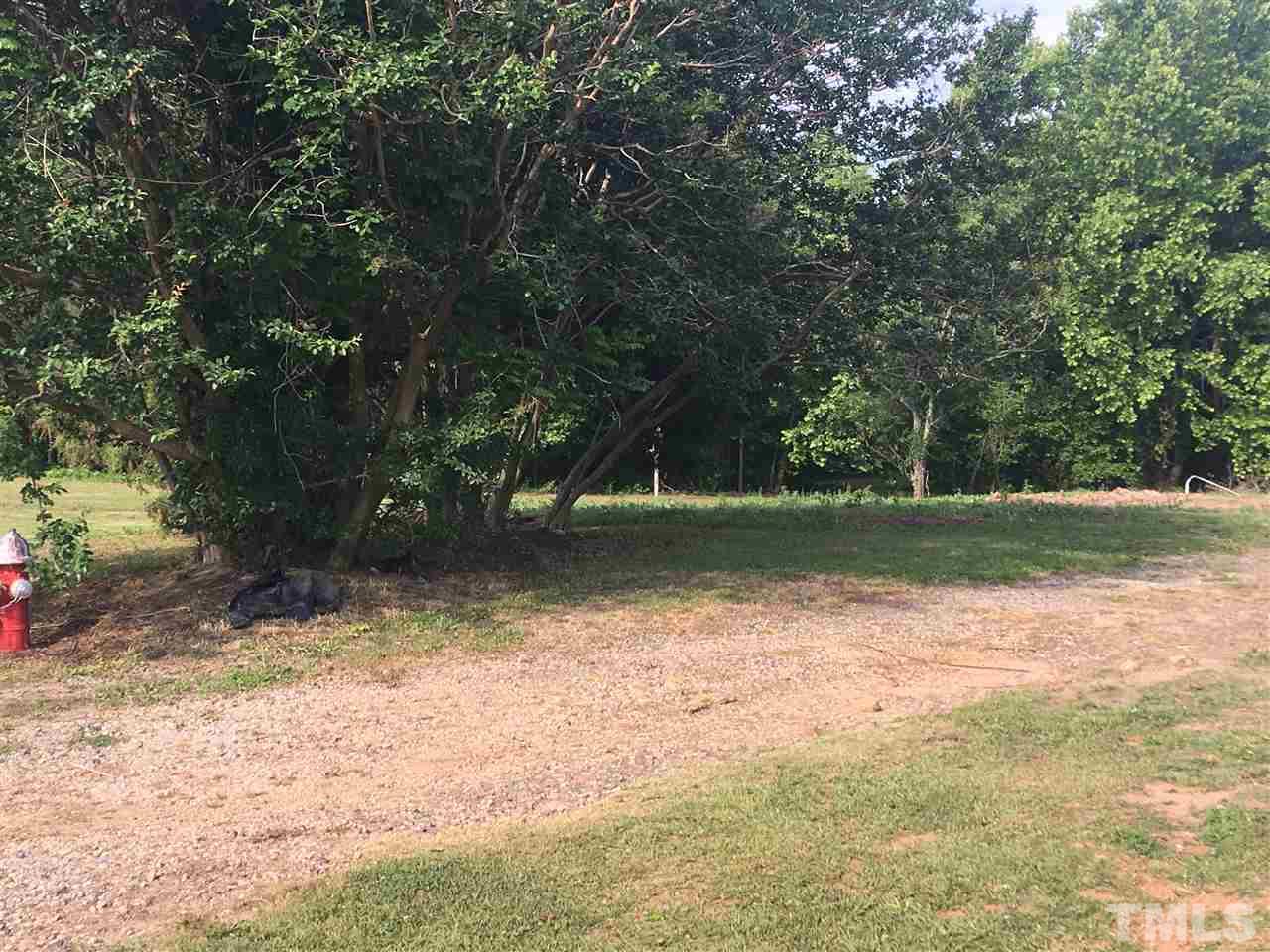 389 Wall Road Wendell, NC 27591 - Photo 4 of 5 Gallery Image 4