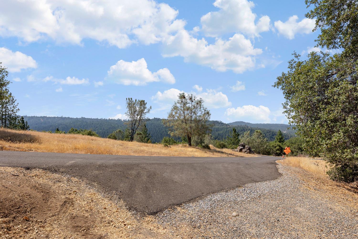 2970 Texas Hill Road Placerville, CA 95667 - Photo 40 of 46 a view of a backyard of a house