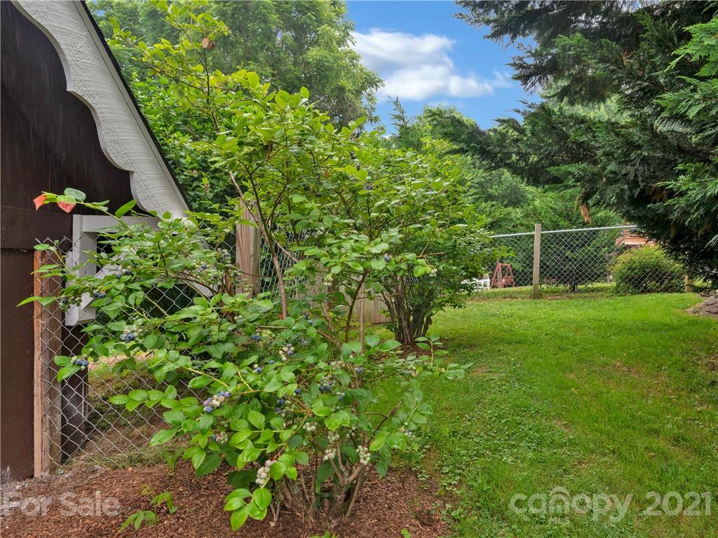 920 Hall Top Road Waynesville, NC 28786 - Photo 33 of 36 a backyard of a house with lots of green space