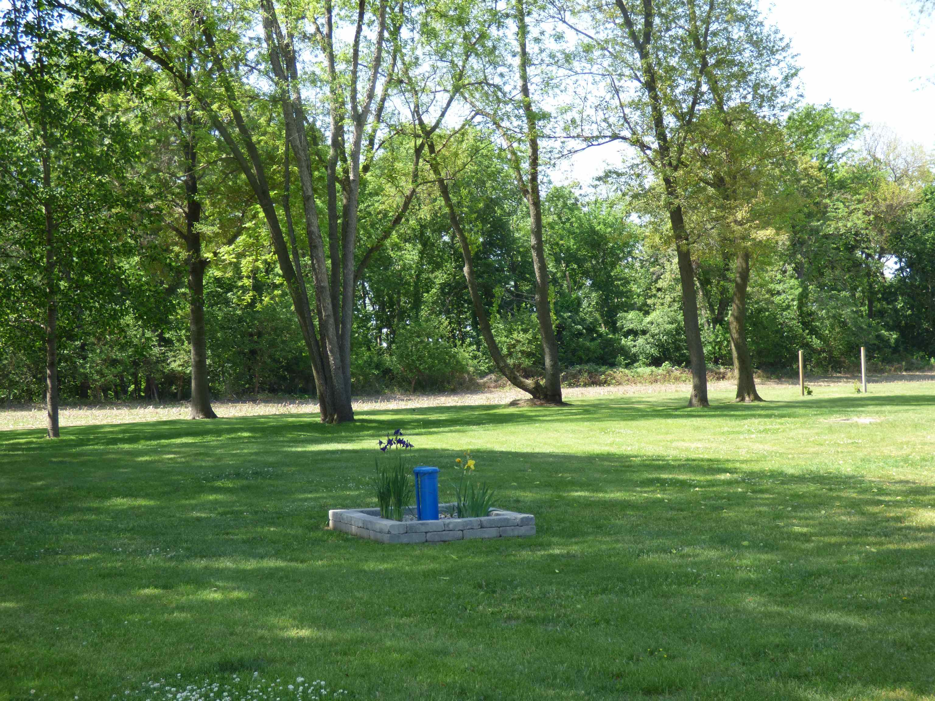 6384 A Diehl Road Savanna, IL 61074 - Photo 25 of 32 a view of a park with trees