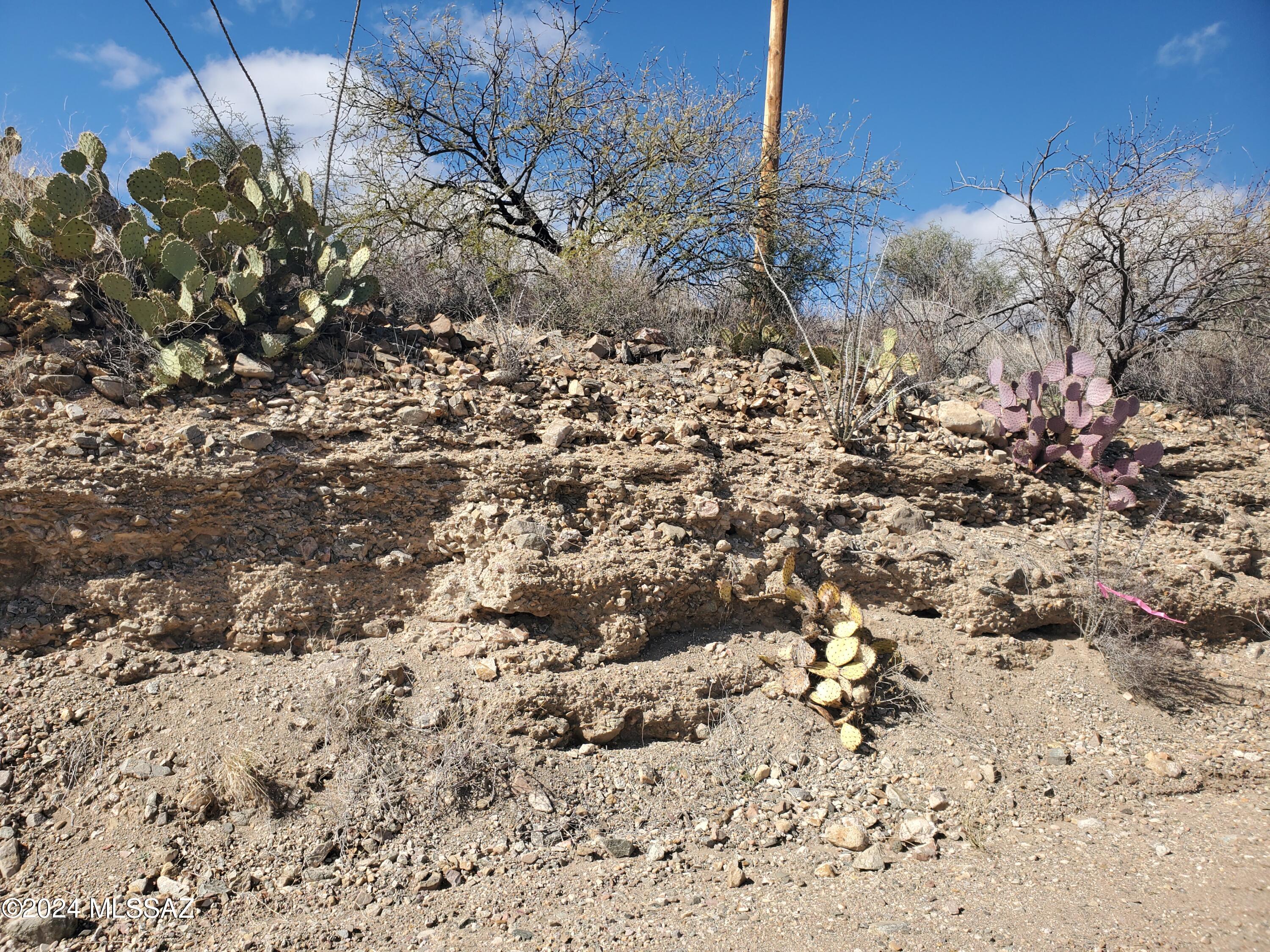 320 Circulo Chica, Unit 53 Rio Rico, AZ 85648 - Photo 1 of 9